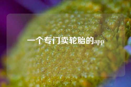 一个专门卖轮胎的app