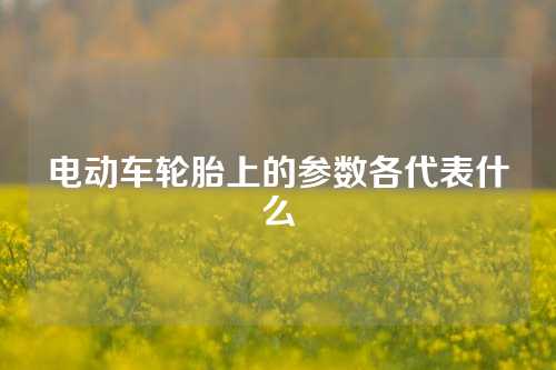 电动车轮胎上的参数各代表什么