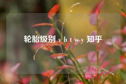 轮胎级别 v h t w y 知乎