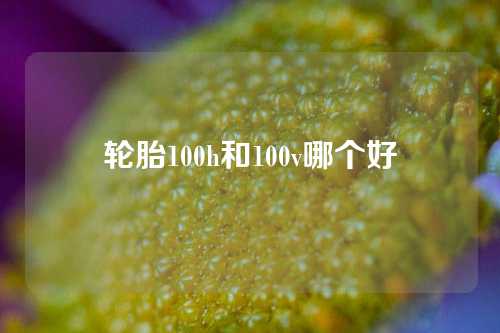 轮胎100h和100v哪个好