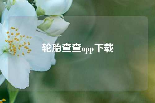 轮胎查查app下载