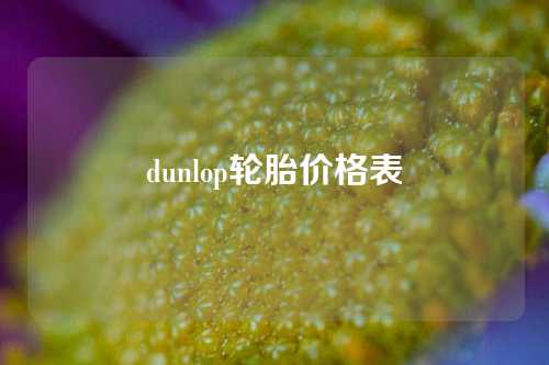 dunlop轮胎价格表